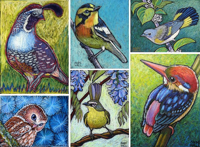 ande hall, bird paintings, oil pastel birds