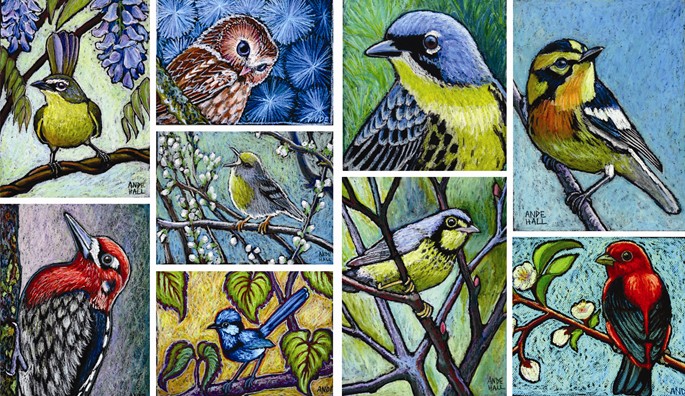 ande hall, bird paintings, oil pastel birds, art giveaway