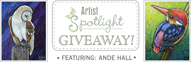 ande hall, bird paintings, oil pastel birds, art giveaway