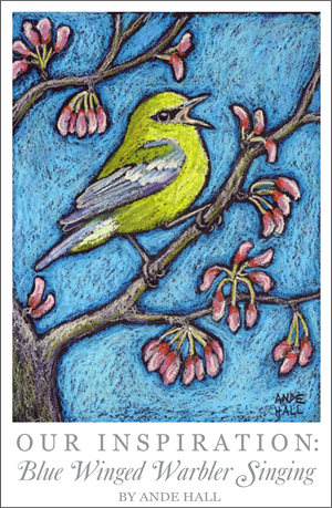 ande hall, bird paintings, oil pastel birds, embroidery design