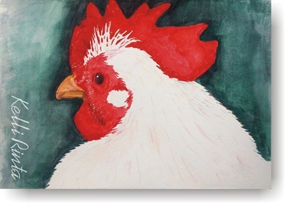 watercolor painting, chicken, kelli rinta
