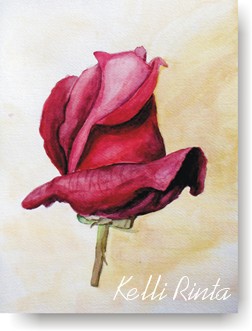 watercolor rose, kelli rinta
