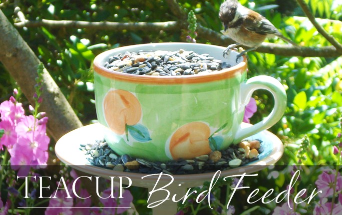 Easy to make bird feeder teacup