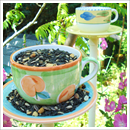 Easy to make bird feeder teacup